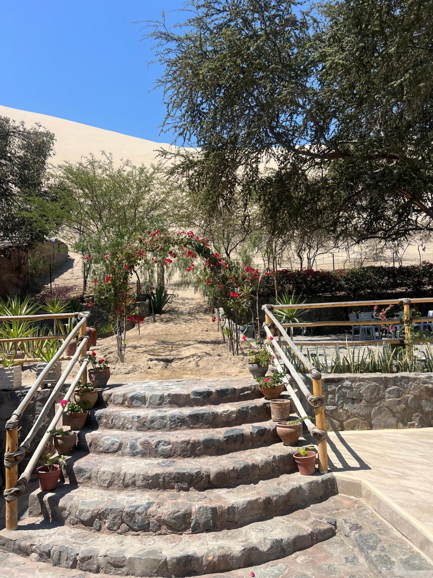 Hotel El Huacachinero Іка Екстер'єр фото